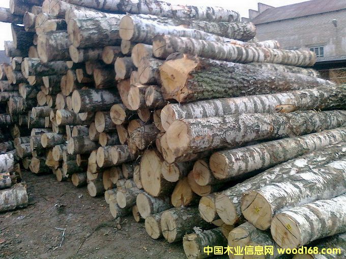 �������ľ