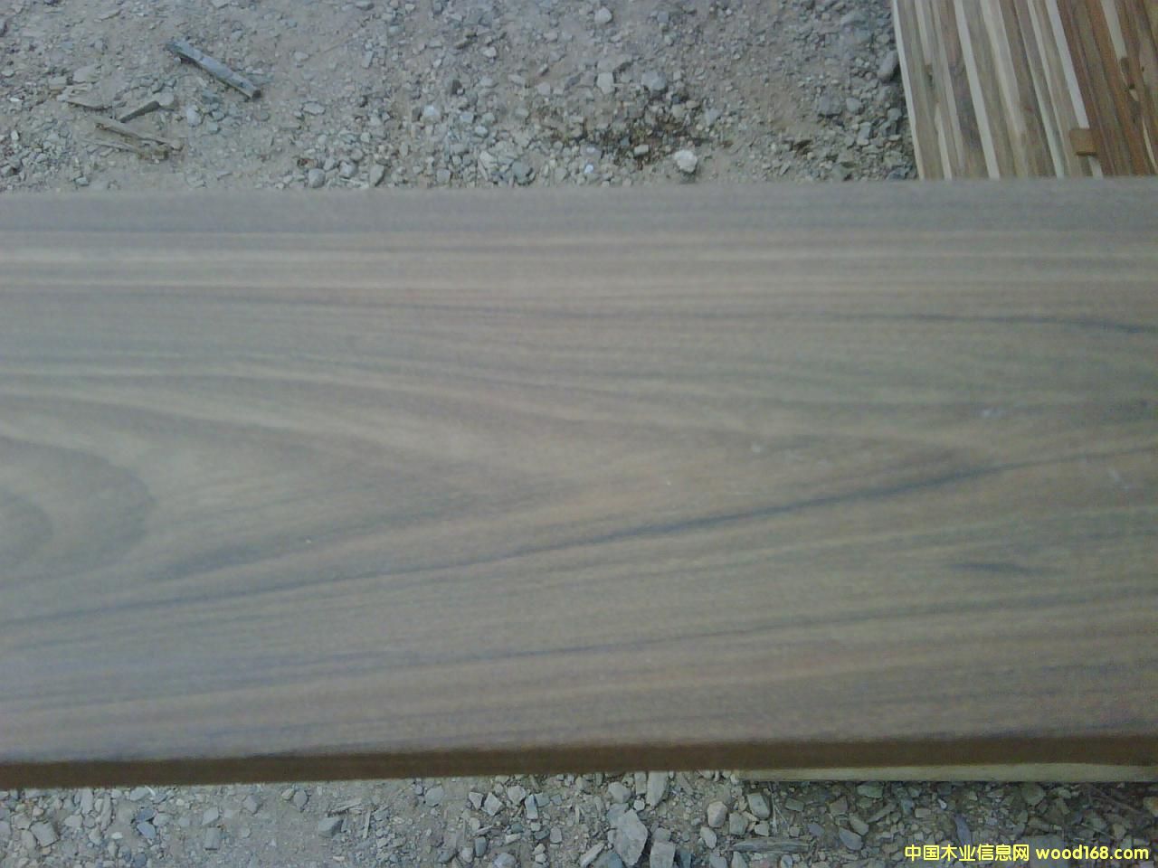 伊貝的詳細介紹