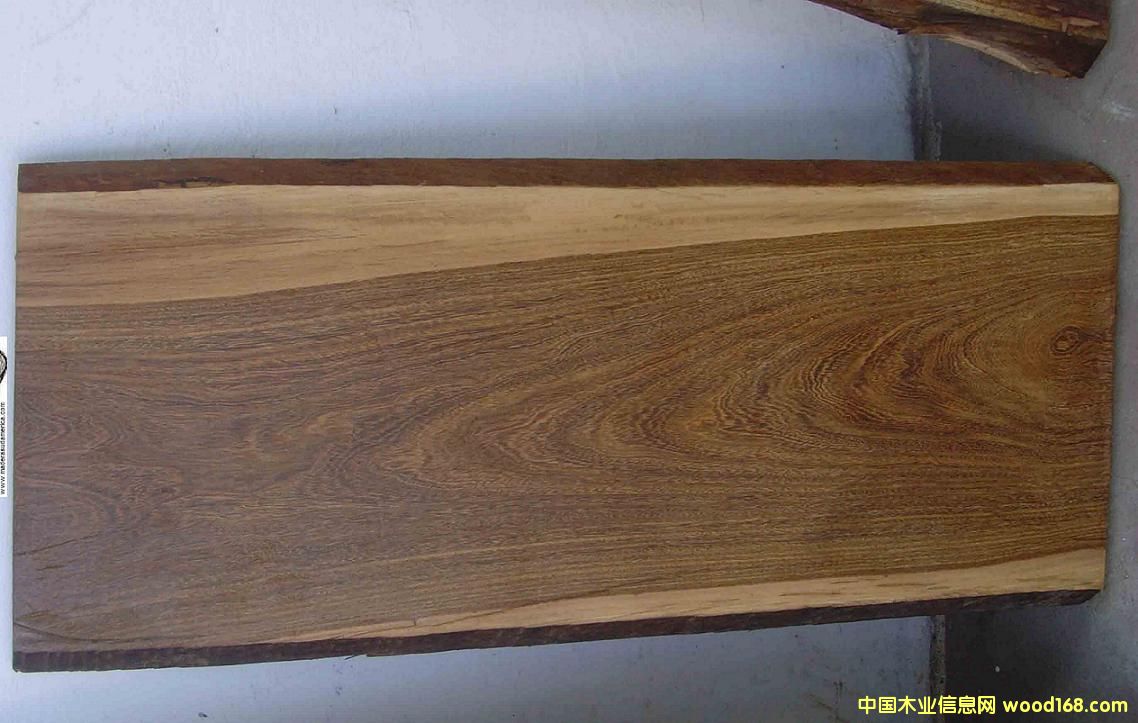 ������̴��Ԕ����B