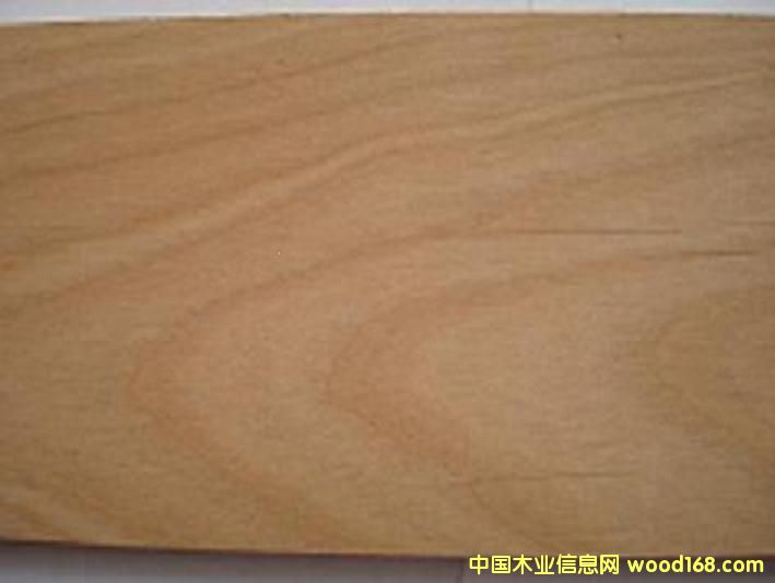 ��������ľ��Ԕ��(x��)��B