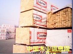 加松木方的詳細(xì)介紹