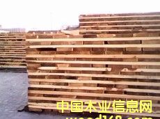 �M(j��n)�ڼt�ɰ�ĵ�Ԕ��(x��)��B