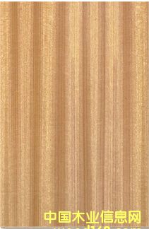 ��ľƬ�N���Ԕ��(x��)��B