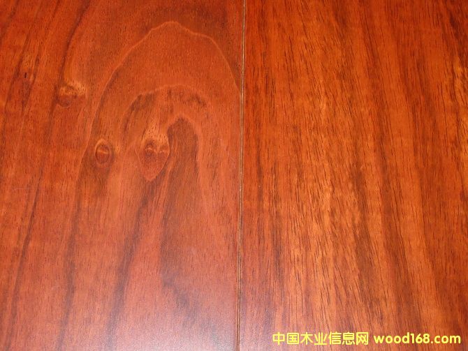 �t̴���Ԕ��(x��)��B