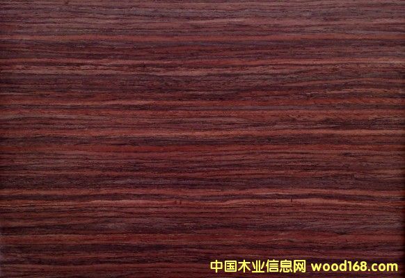 GH5100�oȩ�ቺ�N���z��Ԕ��(x��)��B