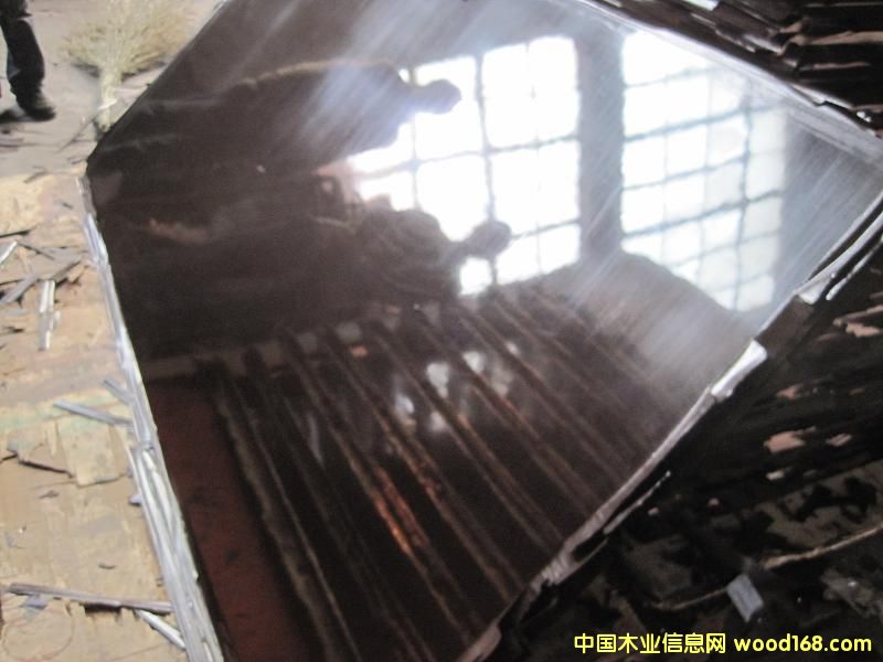 ����Ĥ���Ԕ����B