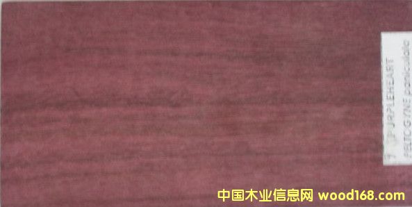 ����ľ��Ԕ��(x��)��B