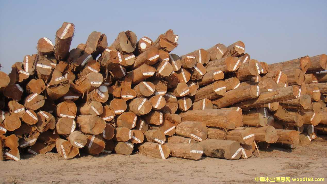 �����ϵ���ľԭľ����ľԭľ��Ԕ����B