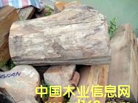 ��ľ���ϣ����^)��Ԕ����B