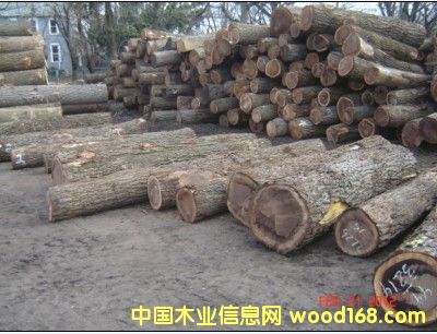 ����(gu��)�ں��ҵ�Ԕ��(x��)��B