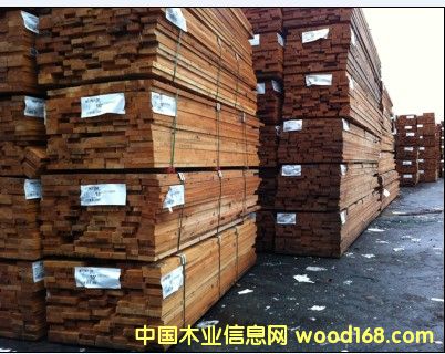 鐵杉木的詳細(xì)介紹