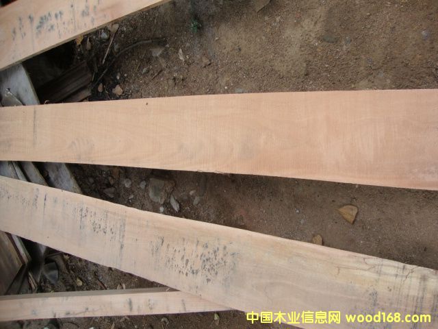 ��(y��u)�|(zh��)�L(zh��ng)�l�ٹ�ĵ�Ԕ��(x��)��B