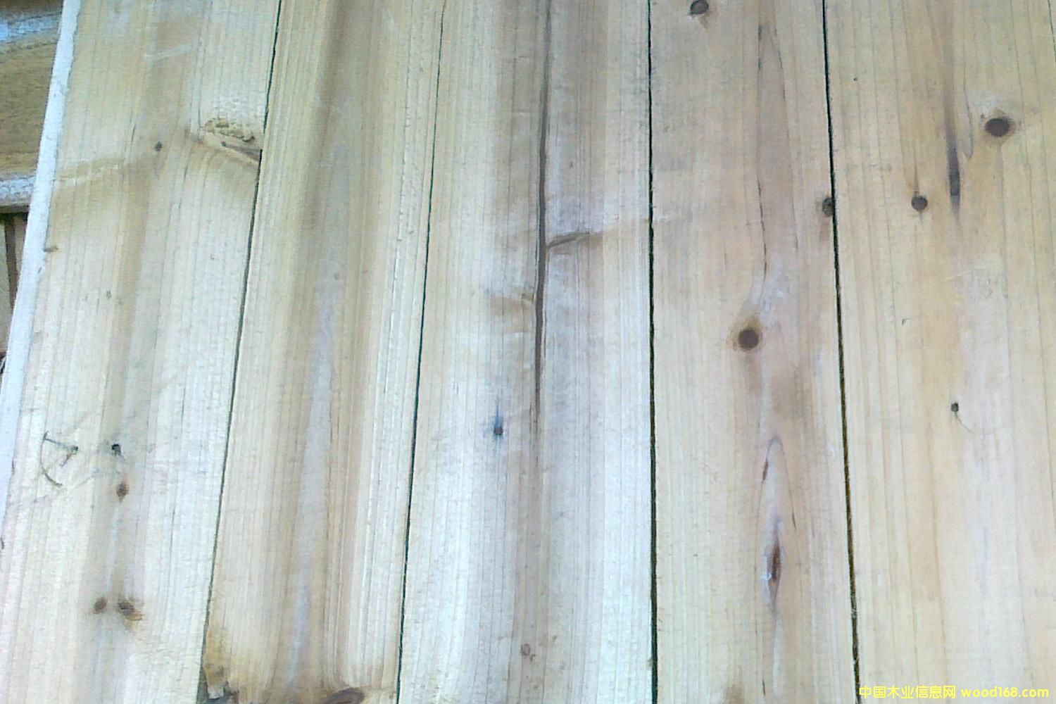 [��] ɼľ�������F�����������S����