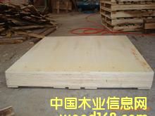 ����ľ�бP�����ڰ��b���Ԕ��(x��)��B