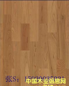 ����ľ ���ӌ�(sh��)ľ��(f��)�ϵذ�