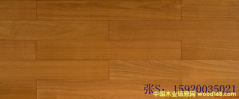 ��ľ�ذ� �\�~�Kľ �����֌�ľ�ذ�