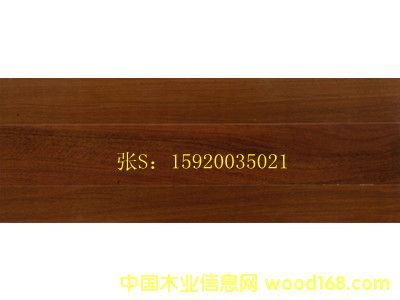 ���� �F��ľ ��(sh��)ľ�ذ�