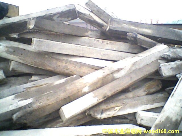 δע����ľ��Ԕ��(x��)��B