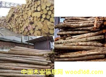 ɼľ���sľ��Ԕ��(x��)��B