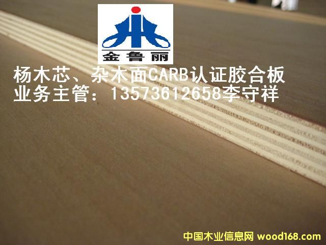 ��о���s��CARB�z�ϰ�