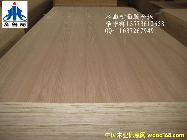 ˮ�������z�ϰ��Ԕ����B