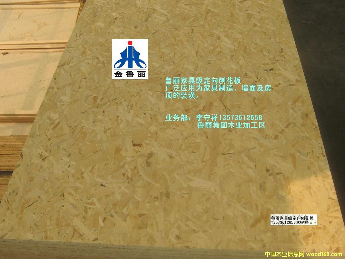 �������W�ɰ��Ԕ����B