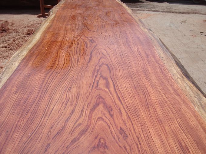 巴花的詳細(xì)介紹