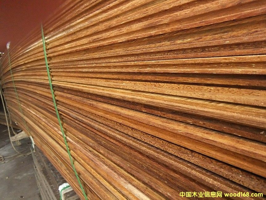 [��] �½����}��ľ���l(f��),�½����}��ľ�ذ�,�½����}��ľ�r��,����ľ�R�в��}��ľ