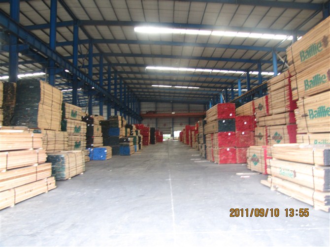 紅橡的詳細介紹