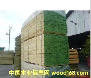 �����m�M����ľ