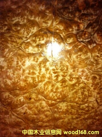 �S���������Ԕ��(x��)��B