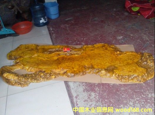 �S�����躣��Ԕ��(x��)��B