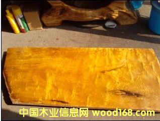 楠木影的詳細(xì)介紹