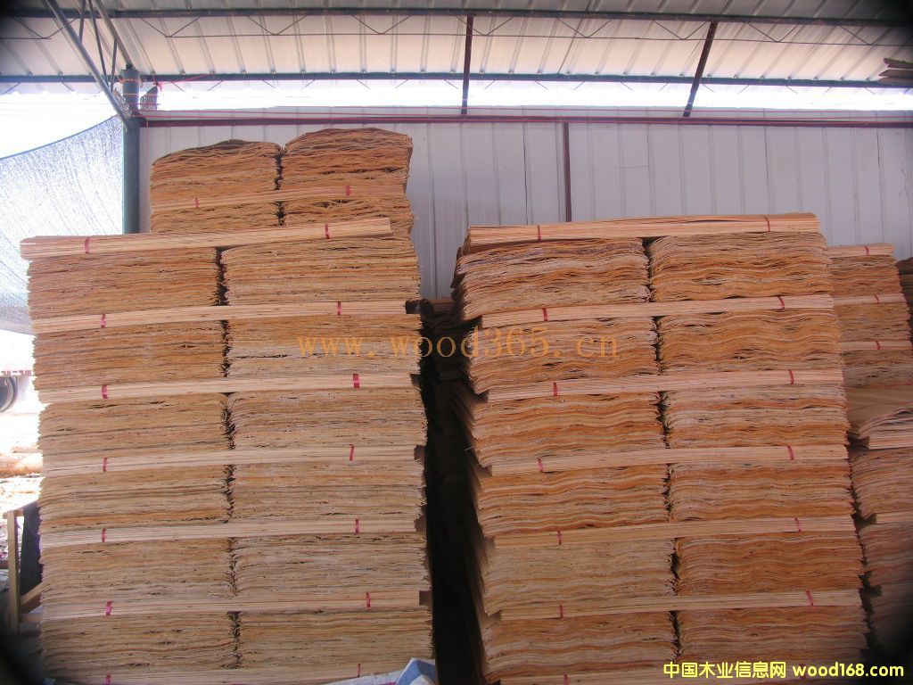 һ�����Ԕ��(x��)��B