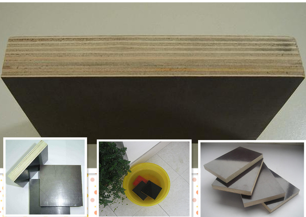 ��Ĥľ�z���Ԕ��(x��)��B