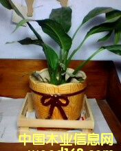 ����׼ܵ�Ԕ����B