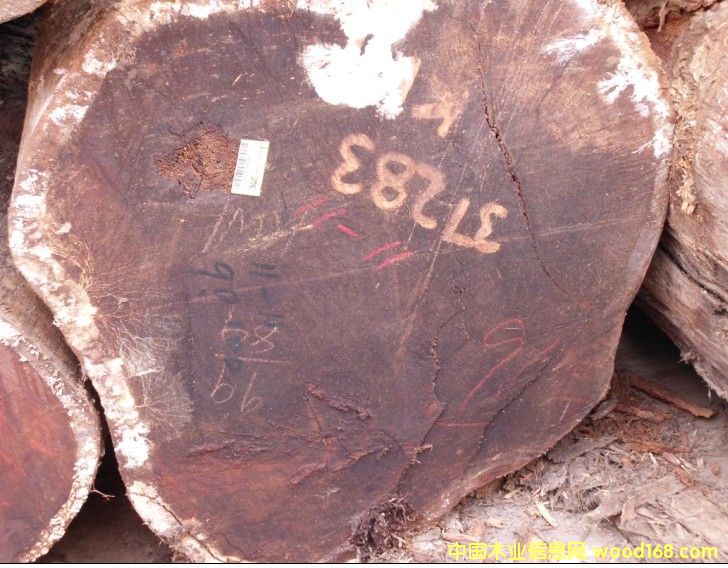 ���}���K��������ľ����̩��ԭľ��Ԕ��(x��)��B