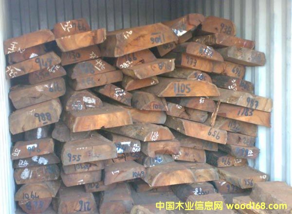 С�~�t̴/Swartzia/�R�_(d��)��˹���Fľ����Ԕ��(x��)��B