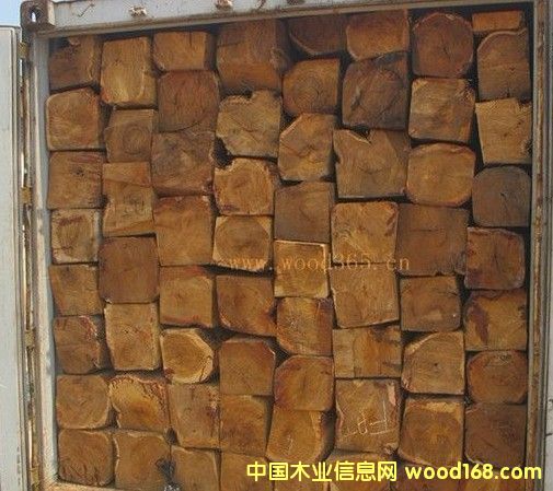 �����S���棨�����棩�S�Ҹ��M(j��n)�ڈ�(b��o)�P(gu��n)������Ԕ��(x��)��B