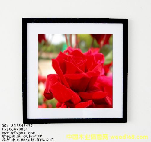 40��40cm����?q��)�ľ����Ԕ�?x��)��B