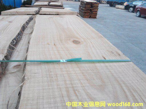 �����m ��A�ĵ�Ԕ��(x��)��B