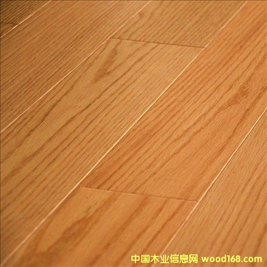 �����t����ľ�ذ��Ԕ����B