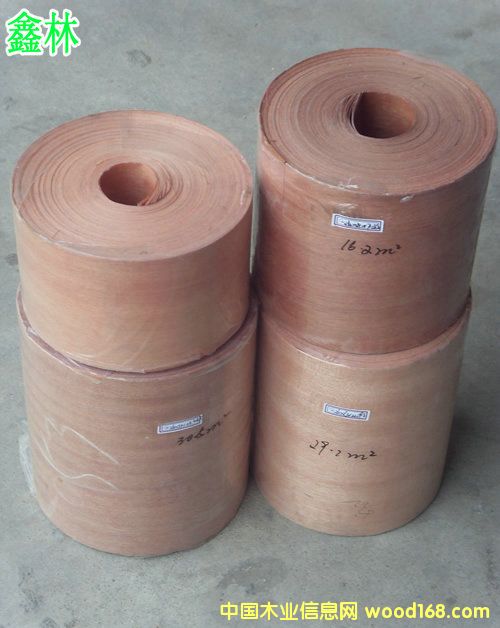 �t���ҟo����ľƤ��Ԕ��(x��)��B