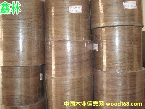 �ں��ҟo����ľƤ��Ԕ��(x��)��B