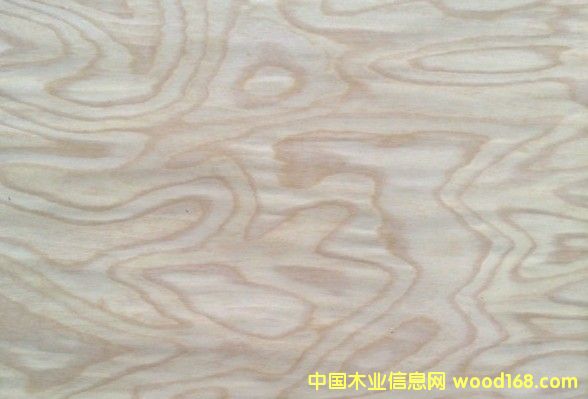 ��˨����TS_4��Ԕ��(x��)��B