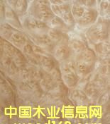 ɽ�����(sh��)���Ԕ��(x��)��B