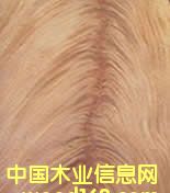 �һ�о��(sh��)辵�Ԕ��(x��)��B