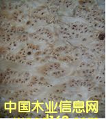 ��ɼ��(sh��)�� ��Ԕ��(x��)��B