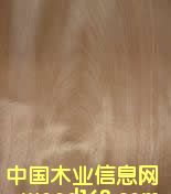 ���ЊW������Ԕ��(x��)��B