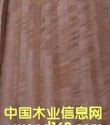 ��Ӱ�ȼ�����Ԕ��(x��)��B